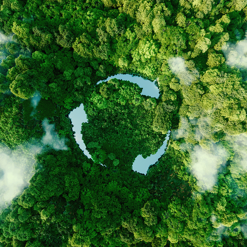 Sustainability