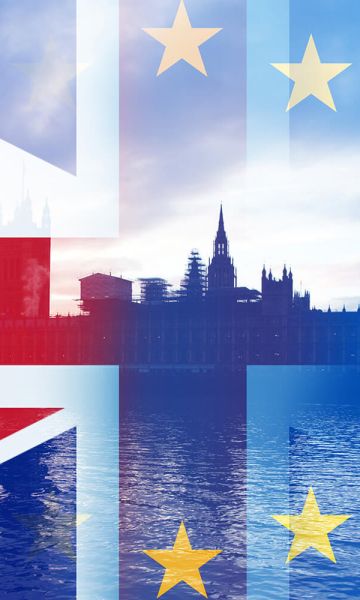 Eu Referendum