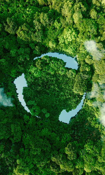 Sustainability