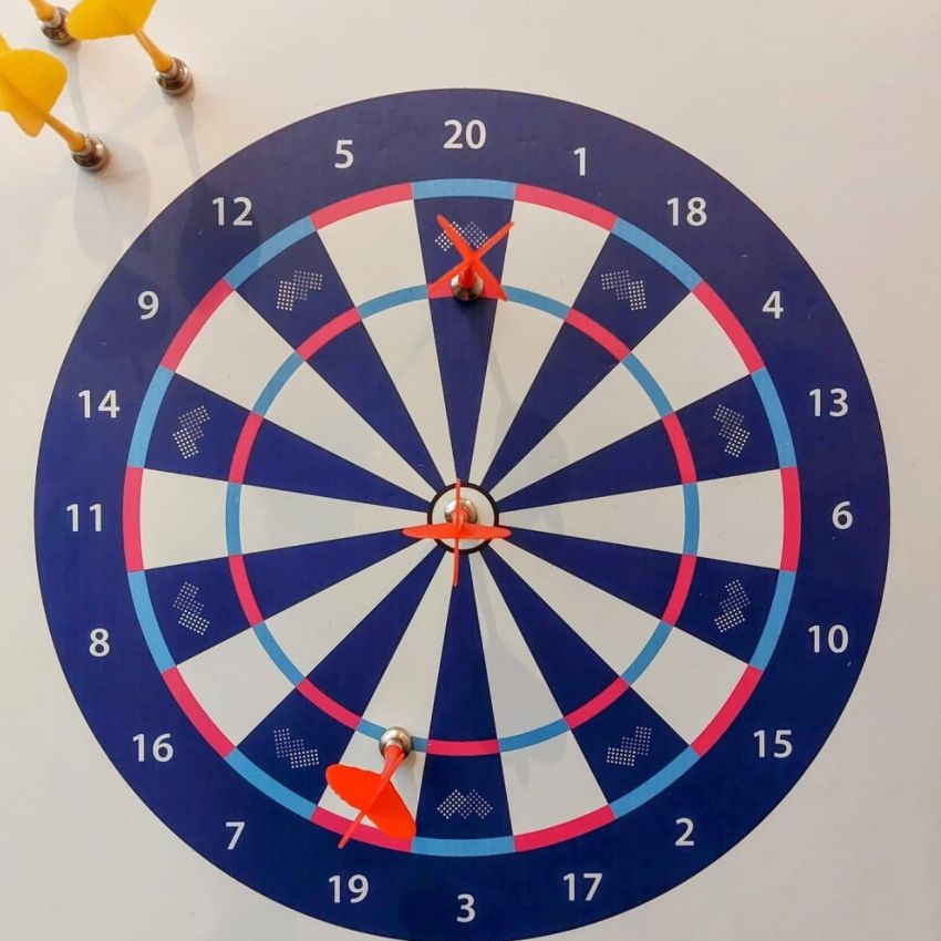 Multishield Dartboard